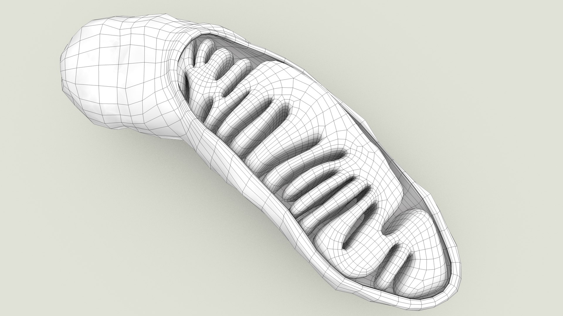 mitochondria dna ribosomes model https://p.turbosquid.com/ts-thumb/ee/E7yIKl/9z/mitohondria_outline_0017/jpg/1674892242/1920x1080/fit_q87/043e6235b26ee2a0e2ad42cdc14fe8342b9d8274/mitohondria_outline_0017.jpg