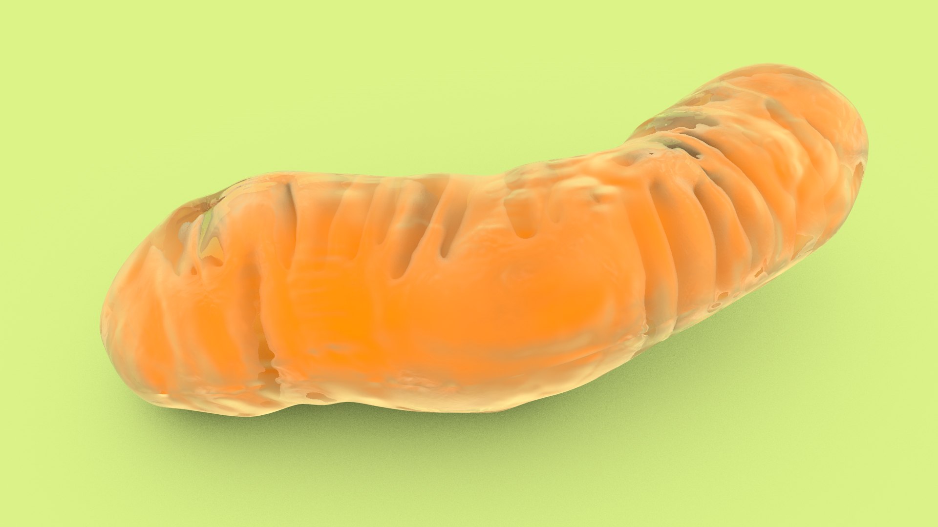 mitochondria dna ribosomes model https://p.turbosquid.com/ts-thumb/ee/E7yIKl/LS/mitohondria_image_0012/jpg/1674885031/1920x1080/fit_q87/6b04c40416a9bcd459e3f059a235e1056aa2f43b/mitohondria_image_0012.jpg