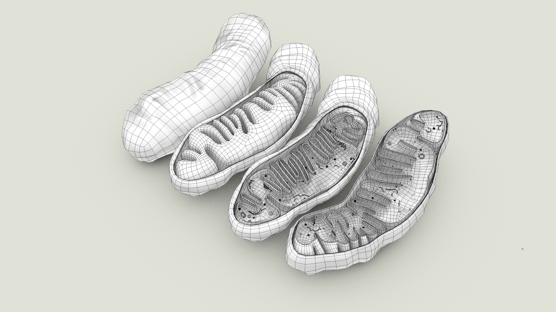 mitochondria dna ribosomes model https://p.turbosquid.com/ts-thumb/ee/E7yIKl/NV/mitohondria360_outline/jpg/1674864878/1920x1080/turn_fit_q99/4b3341052de02f09490c0bbde6889baa9c122e53/mitohondria360_outline-1.jpg