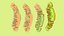 Mitochondria