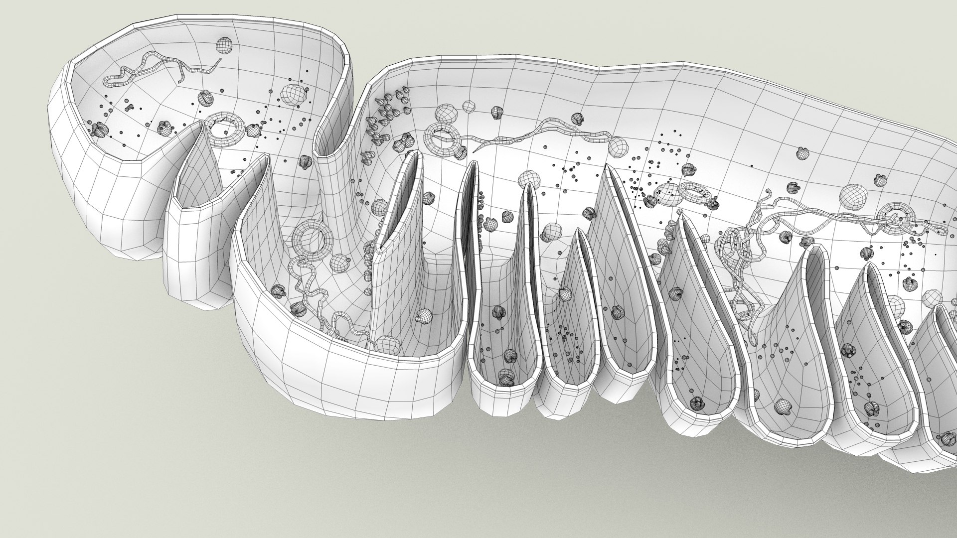 mitochondria dna ribosomes model https://p.turbosquid.com/ts-thumb/ee/E7yIKl/Tn/mitohondria_inside_0043/jpg/1674893999/1920x1080/fit_q87/738fd6c7c36c2c1144f0b38a42b75e5004890cfb/mitohondria_inside_0043.jpg