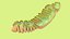 Mitochondria