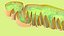 Mitochondria