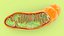 Mitochondria