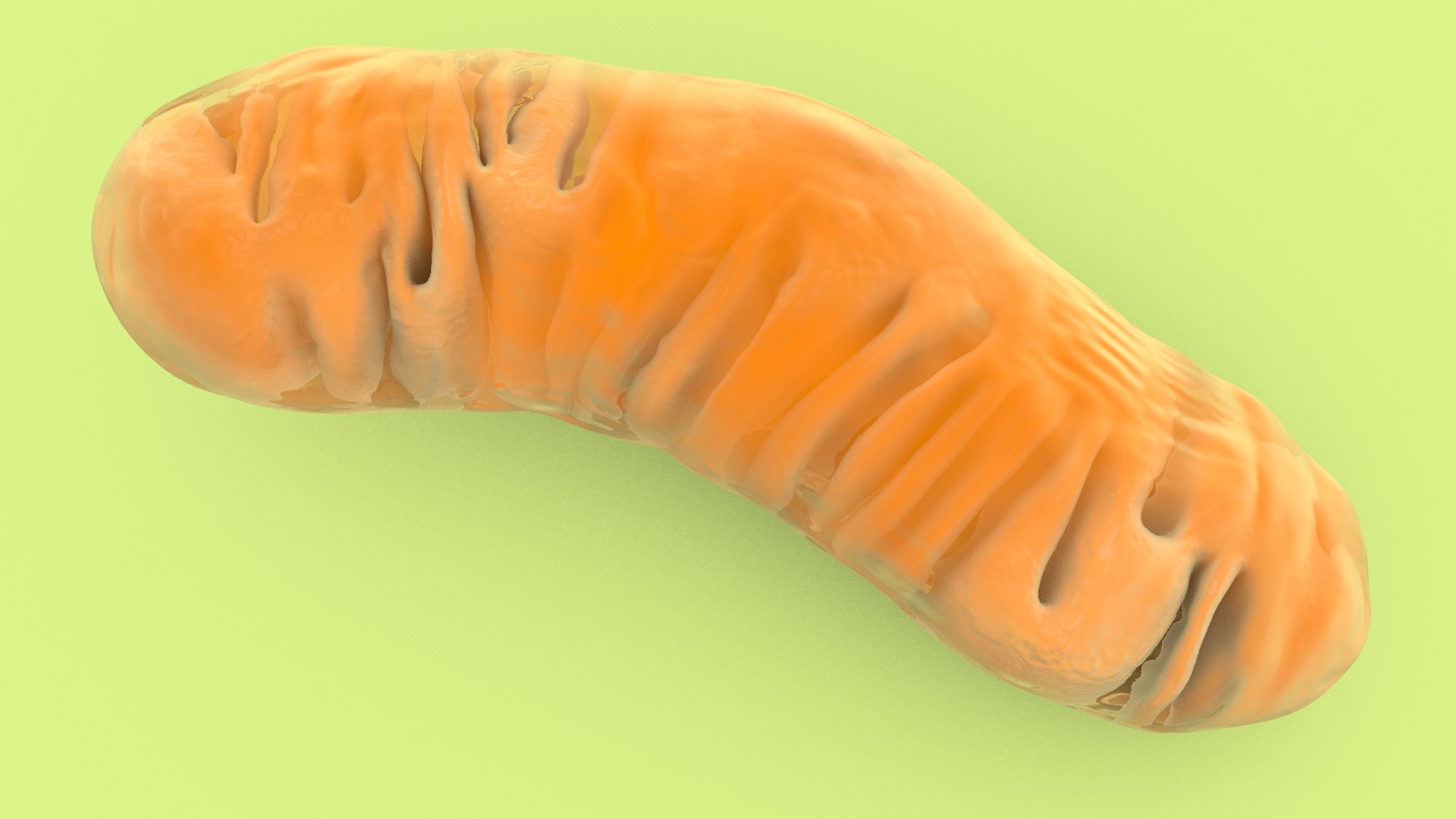 mitochondria dna ribosomes model https://p.turbosquid.com/ts-thumb/ee/E7yIKl/aQ/mitohondria_image_0008/jpg/1674885028/1920x1080/fit_q87/eec44256b1d62440983d5c0d4c3f7695958c9f95/mitohondria_image_0008.jpg