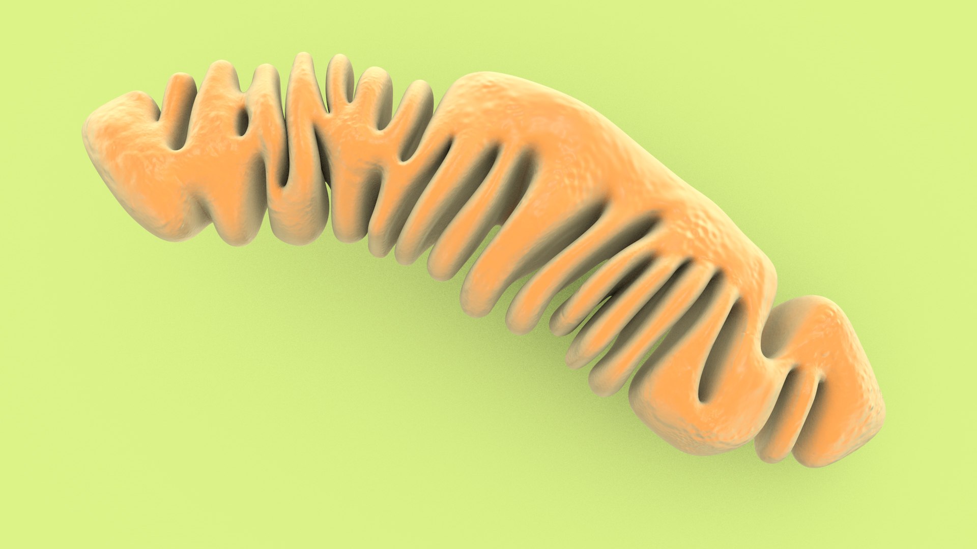 mitochondria dna ribosomes model https://p.turbosquid.com/ts-thumb/ee/E7yIKl/gM/mitohondria_only_inside_0008/jpg/1674885205/1920x1080/fit_q87/92ef0c21488e06977d4a86ba560c221ea21947d1/mitohondria_only_inside_0008.jpg