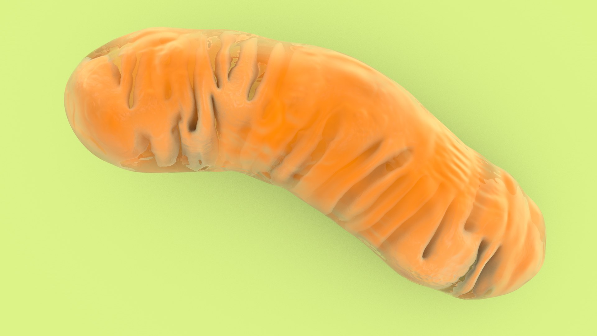 mitochondria dna ribosomes model https://p.turbosquid.com/ts-thumb/ee/E7yIKl/gV/mitohondria_image_0011/jpg/1674885033/1920x1080/fit_q87/fcdd86a534b9e27580d28d236cd3daecf76f7fb3/mitohondria_image_0011.jpg