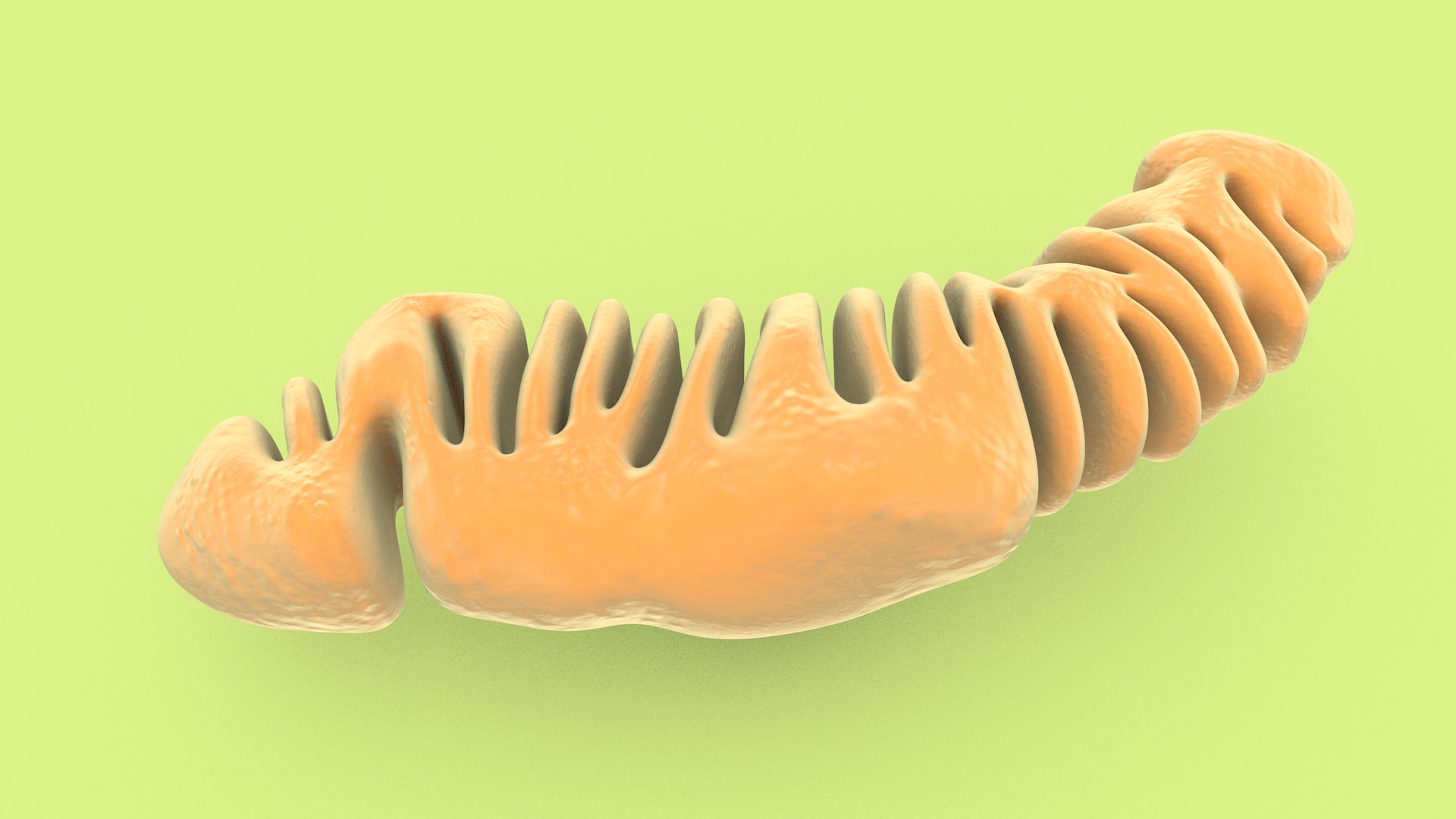 mitochondria dna ribosomes model https://p.turbosquid.com/ts-thumb/ee/E7yIKl/iJ/mitohondria_only_inside_0014/jpg/1674885244/1920x1080/fit_q87/ab03798a395ae529ce47e451c43d2e440adccba7/mitohondria_only_inside_0014.jpg