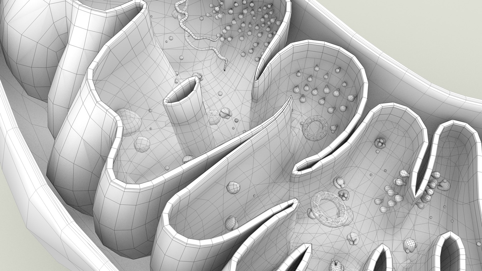 mitochondria dna ribosomes model https://p.turbosquid.com/ts-thumb/ee/E7yIKl/v6/mitohondria_outline_0040/jpg/1674892269/1920x1080/fit_q87/6d3400b31a1087c454df2fa92a801216d9344aca/mitohondria_outline_0040.jpg