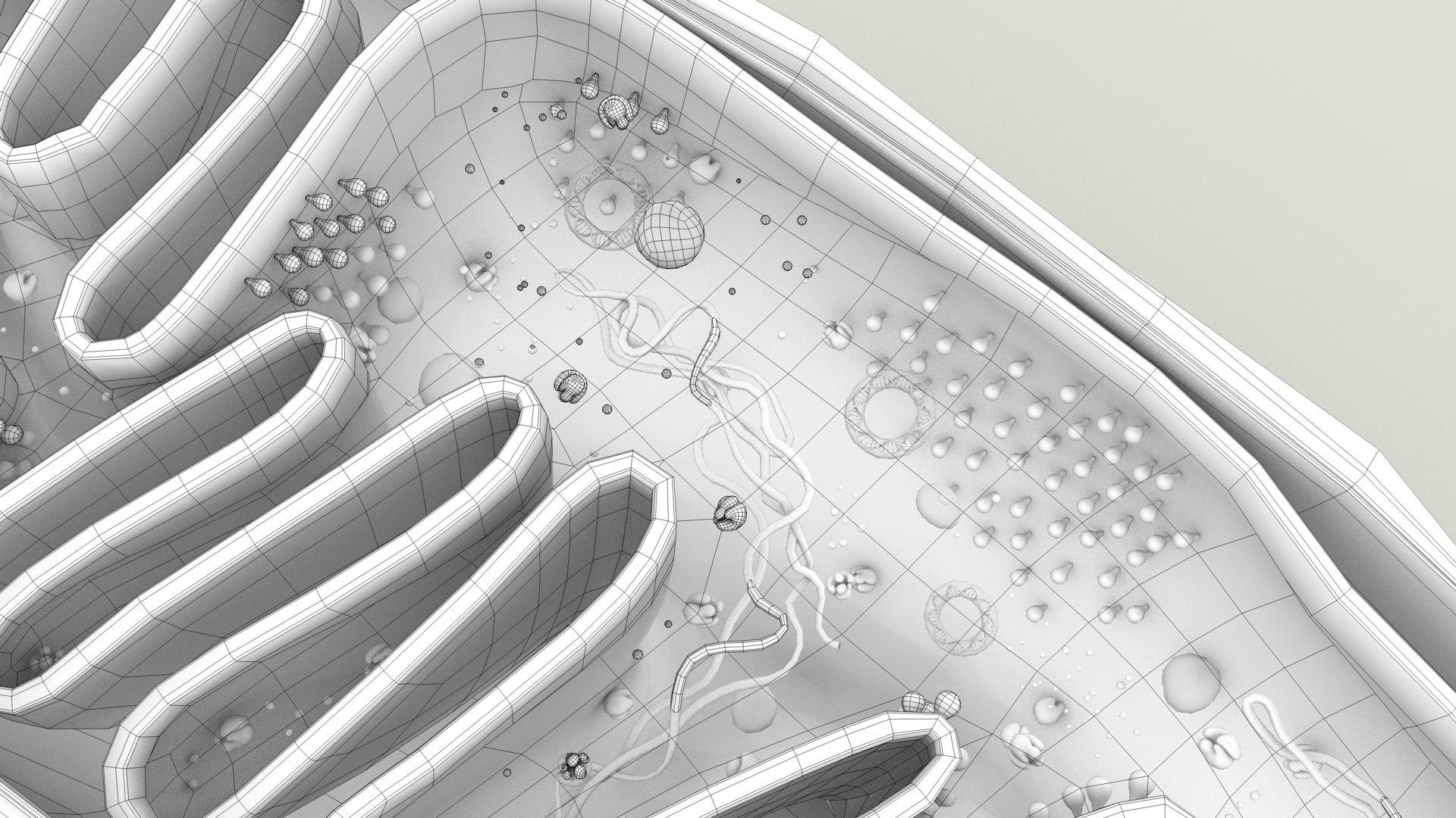 mitochondria dna ribosomes model https://p.turbosquid.com/ts-thumb/ee/E7yIKl/zZ/mitohondria_outline_0026/jpg/1674892251/1920x1080/fit_q87/10711978afaaaded545b434c5bd19d9652ac1b8c/mitohondria_outline_0026.jpg