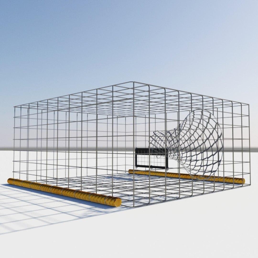 Square Fish Trap 3ds