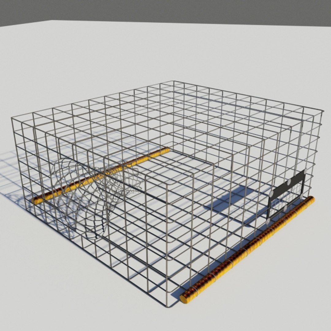 Square Fish Trap 3ds