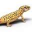 leopard gecko pose 2 3d c4d
