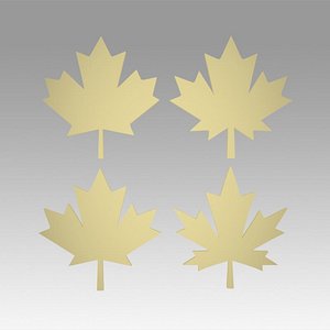 Maple tree leaf