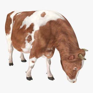 3D holstein cow eating pose