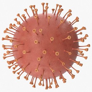 Corona Virus