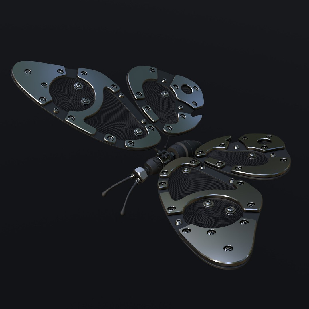 Butterfly 3D Model - TurboSquid 1976619
