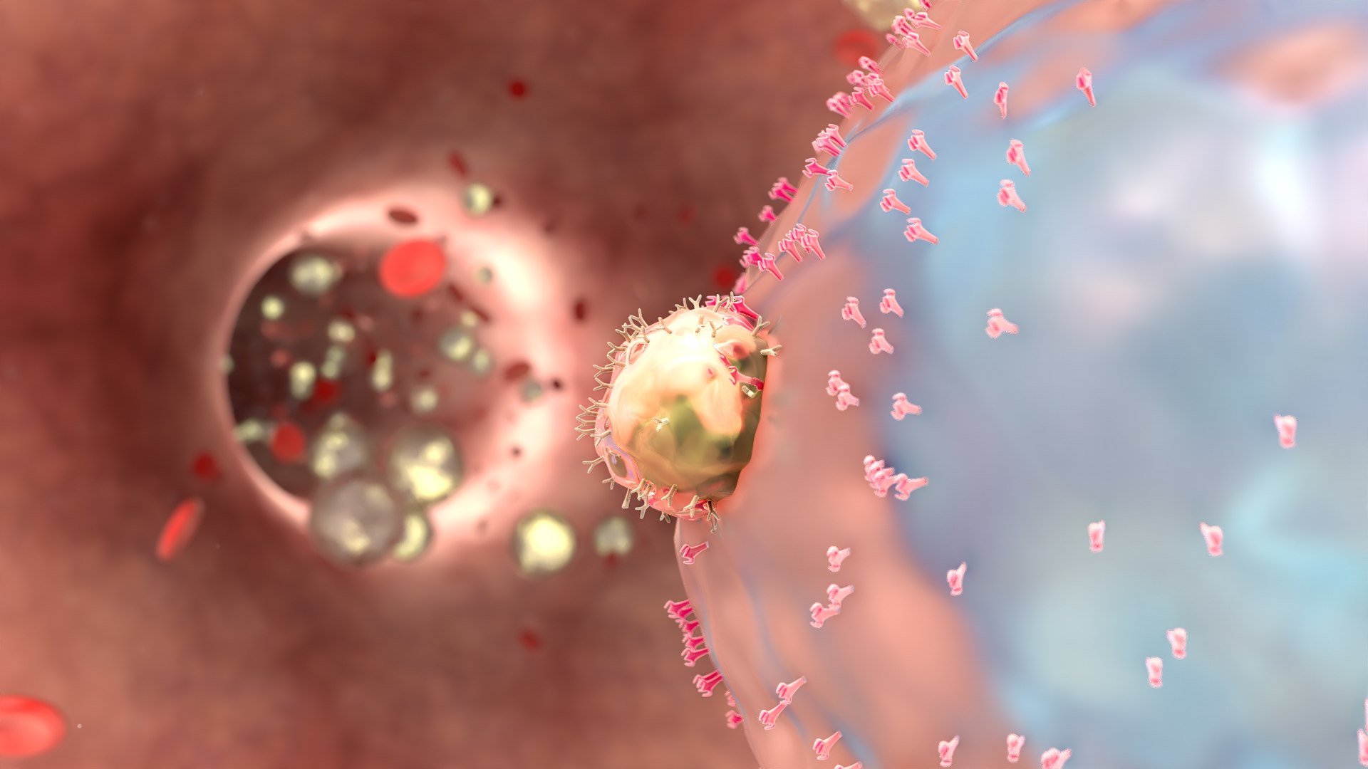Virus Infection In Blood Stream Model - TurboSquid 2177312
