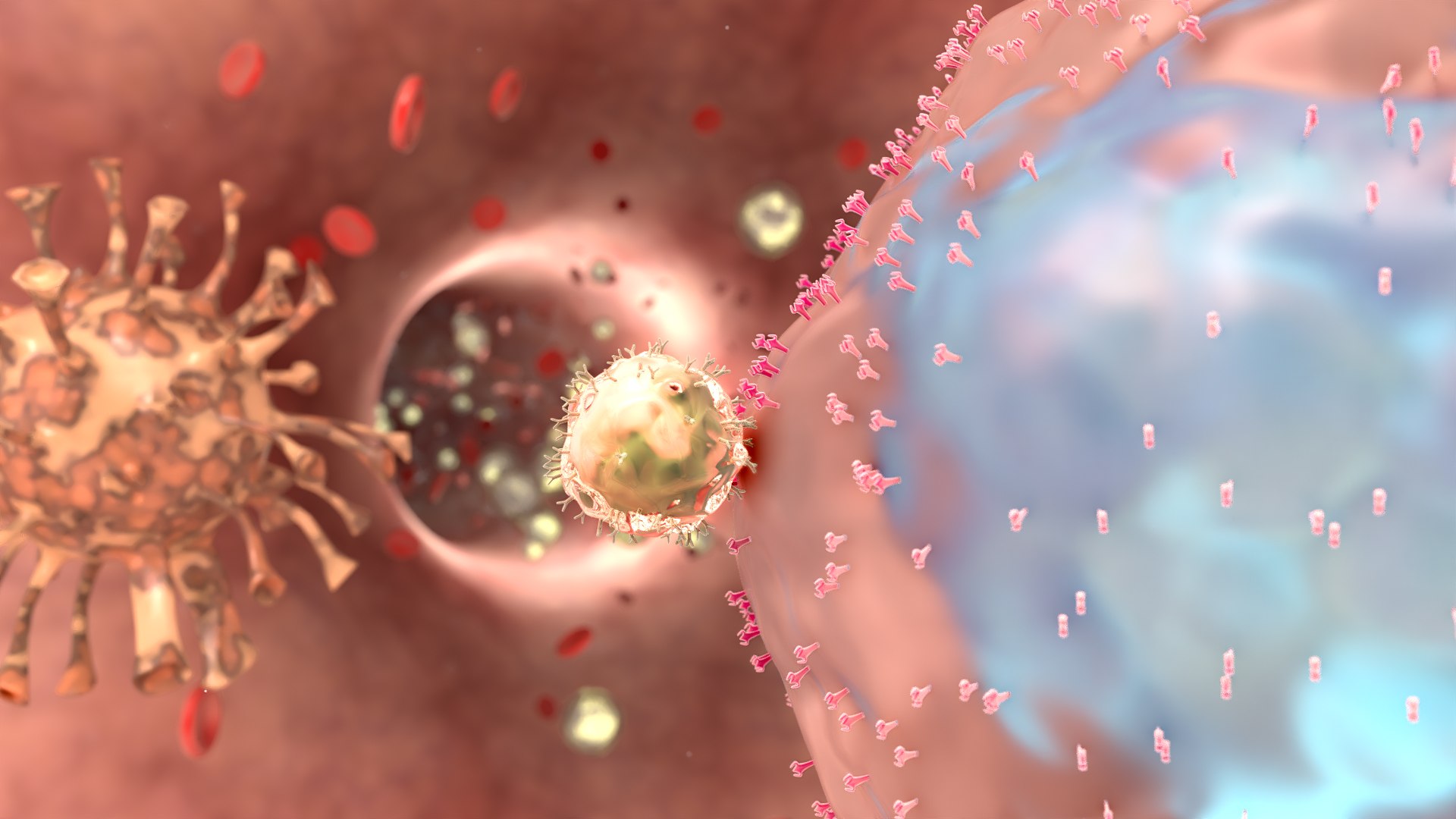 Virus Infection In Blood Stream Model - TurboSquid 2177312