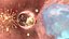 virus infection in blood stream