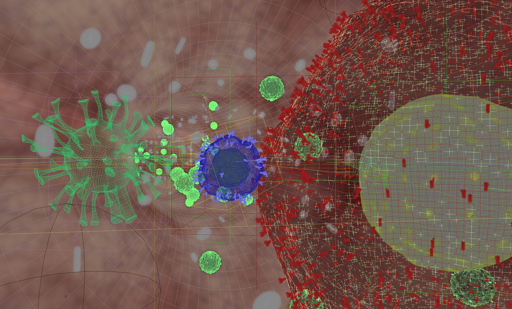 virus infection in blood stream model https://p.turbosquid.com/ts-thumb/ef/5lXpFc/me/wireframe01/jpg/1705389355/1920x1080/fit_q87/571df99e7dd2dbc972d637280bf96fe61abf9407/wireframe01.jpg