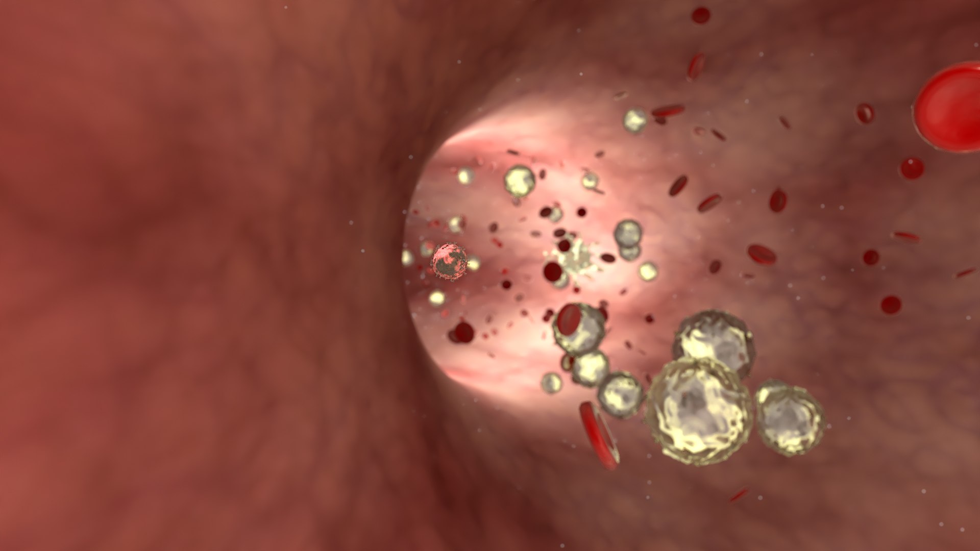virus infection in blood stream model https://p.turbosquid.com/ts-thumb/ef/5lXpFc/p0/bloodstream_24/jpg/1705389497/1920x1080/fit_q87/9b5a94134b14e2d3915c817a56b277d9eeac26d8/bloodstream_24.jpg
