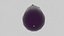 brinjal