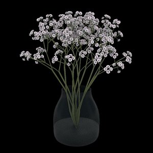 3D baby s breath