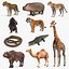 Coleção 7 de Animais Africanos