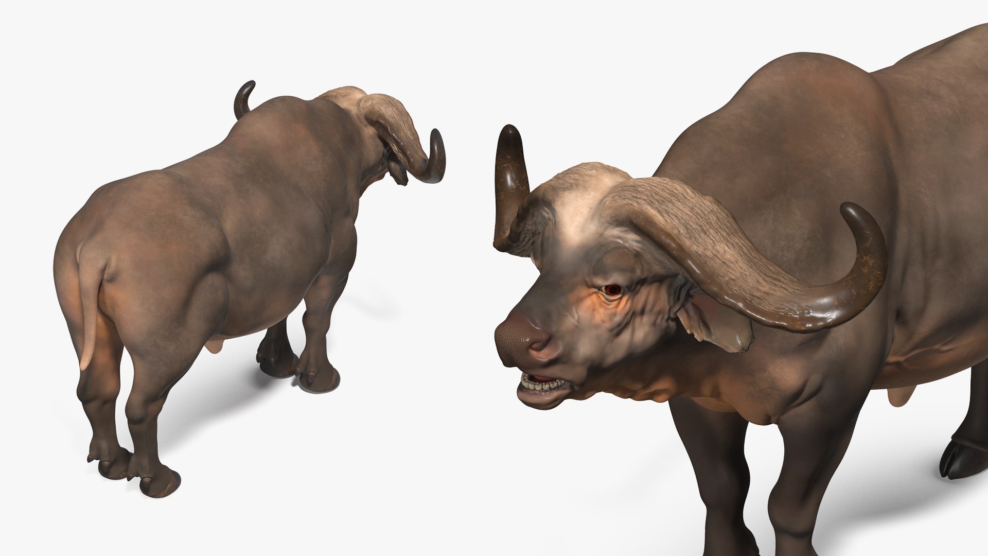 3D african animals 7 https://p.turbosquid.com/ts-thumb/ef/MTvdbo/etXeWlce/africananimalscollection73dsmodel008/jpg/1595059018/1920x1080/fit_q87/3cde91b70667185e517b1d587fceceb419fe2230/africananimalscollection73dsmodel008.jpg