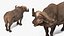 Coleção 7 de Animais Africanos