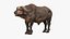 Coleção 7 de Animais Africanos