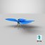 Farfalla blu comune