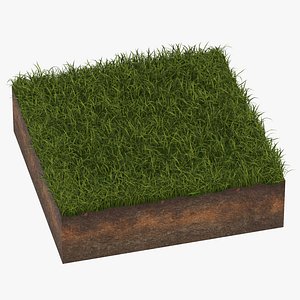 grass cross section 04 3D model
