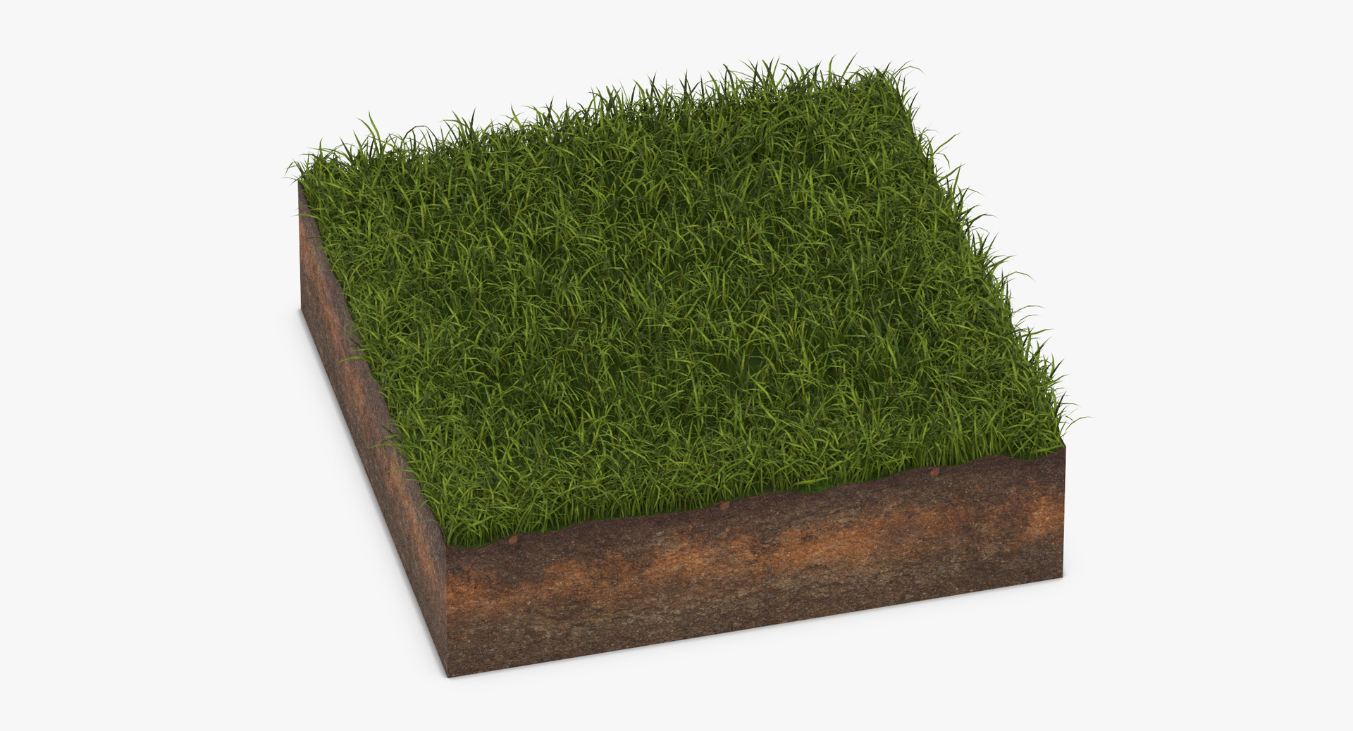 Grass Cross Section 04 3D Model - TurboSquid 1326774