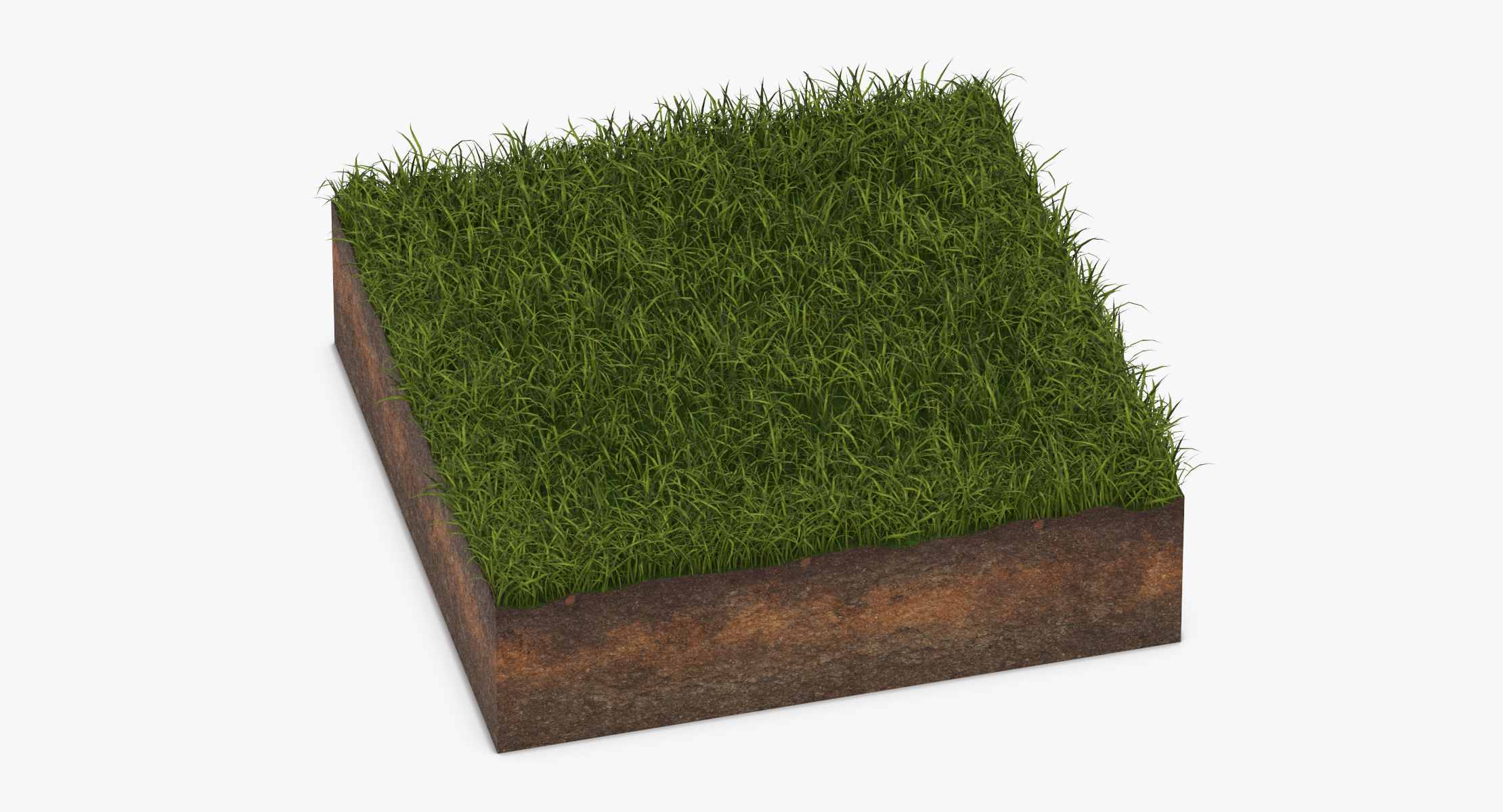 Grass Cross Section 04 3d Model - Turbosquid 1326774