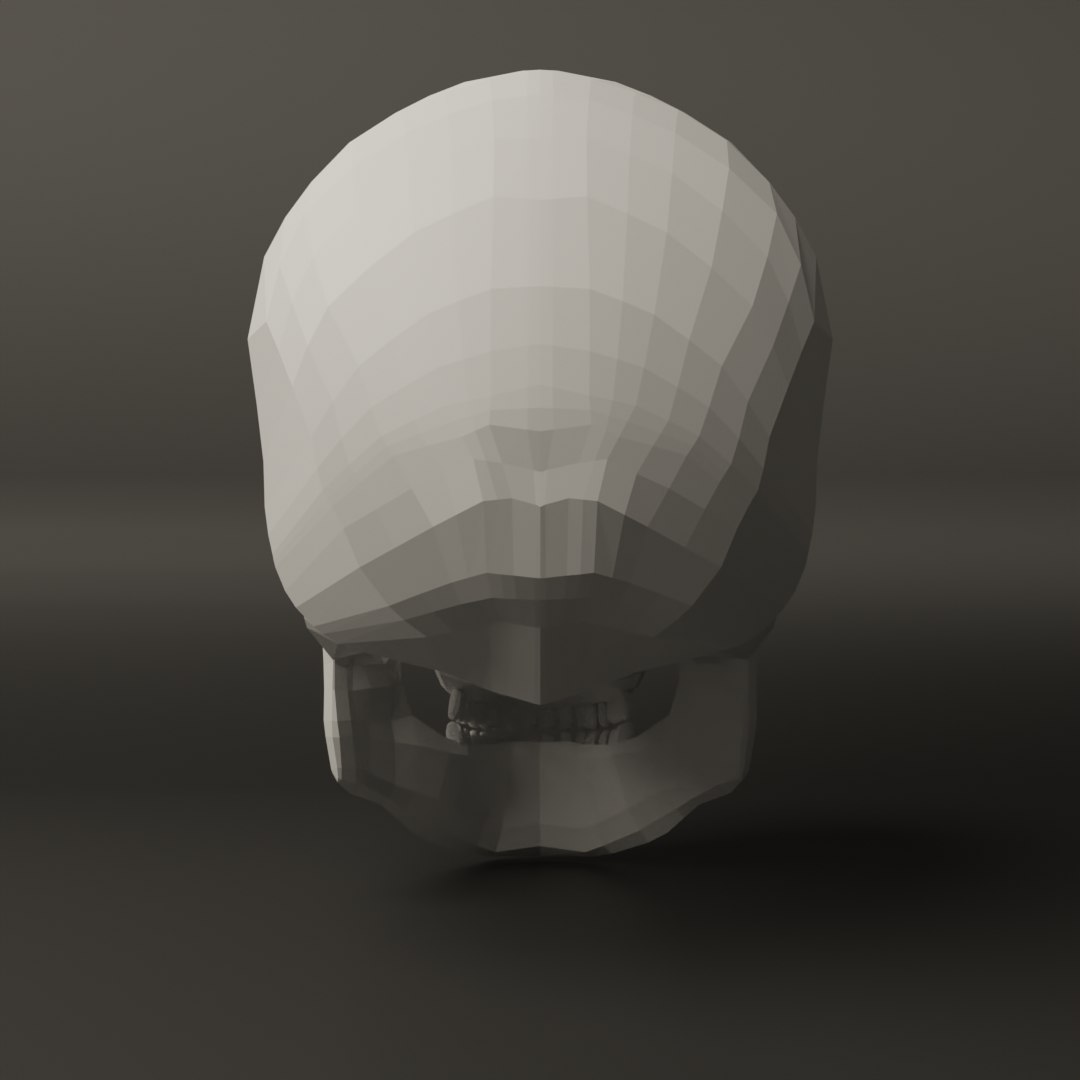 3D European Male Skull Model - TurboSquid 1544319