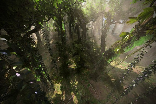 3d model rainforest ultra hd