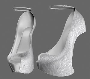 3D shoeshighheelboot