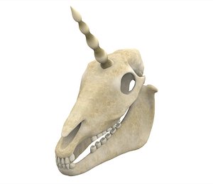 unicorn skull 3D model
