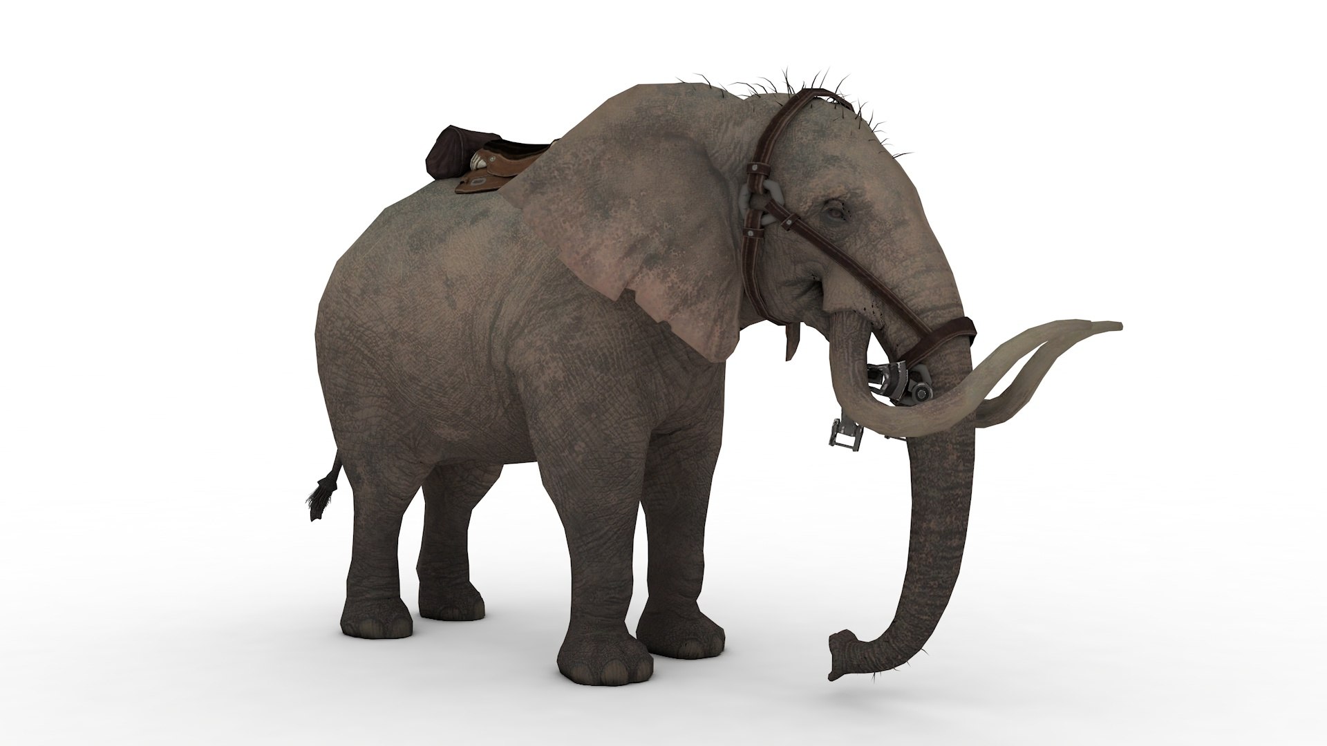 Elephant Rigged And Animated Model - TurboSquid 2391224