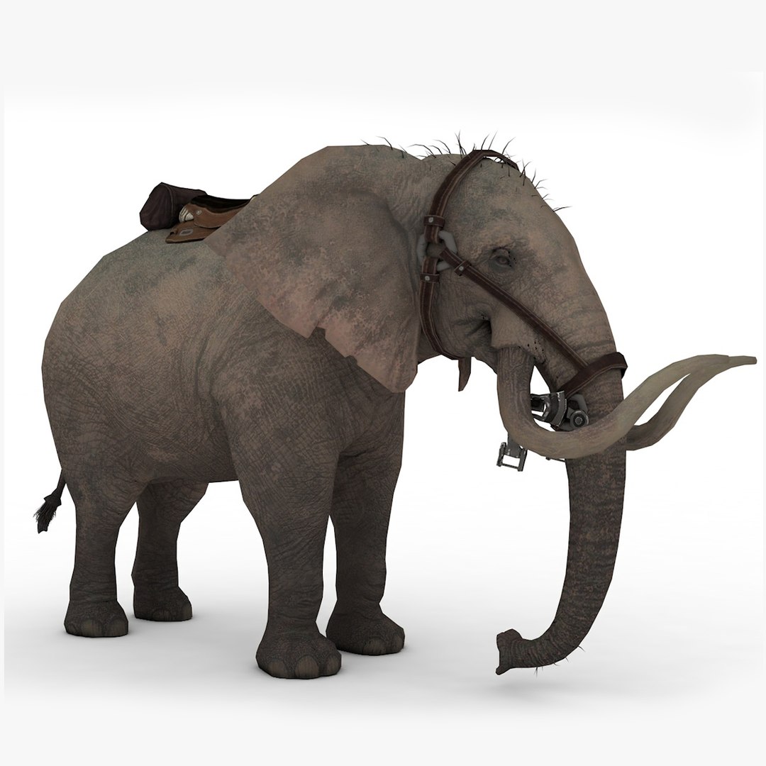 Elephant Rigged And Animated Model - TurboSquid 2391224