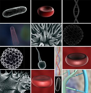 3d model science atom bacteria blood cells