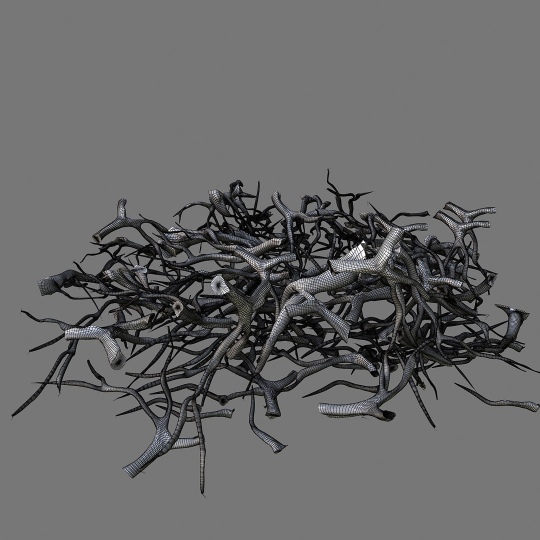 3d Tree Roots