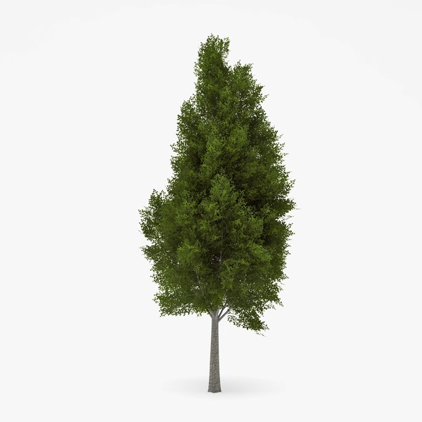 3d deciduous 033 model