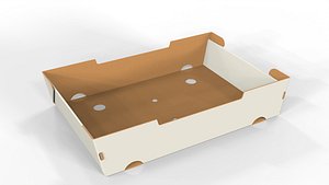 Cardboard Retail Display Tray for Product Packaging Merchandise 3D model