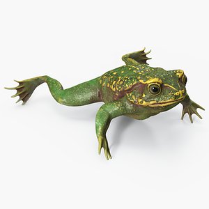 3D green frog pbr model
