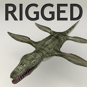 3d model pliosaurus rigged