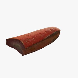 3D Anydrafts Daucus carota sativus 03