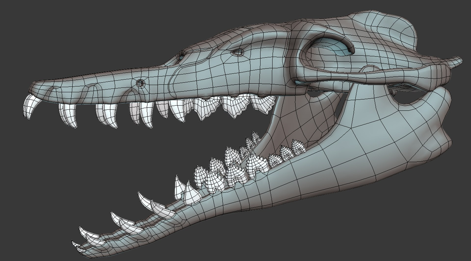 Basilosaurus Skull 3D Model TurboSquid 1597162